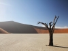 Pressefoto 1- Dead Vlei