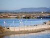 Sard96